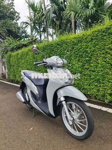 Honda SH Mode 2024 CBS Xám