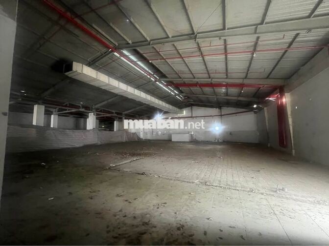 KHO XƯỞNG TÂN BÌNH - NGAY BÀU CÁT (8000M²) - CẮT LẺ THEO NHU CẦU