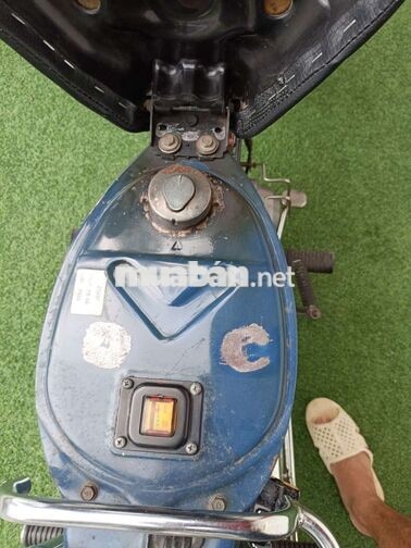 Honda Cub 86 Xanh 50cc
