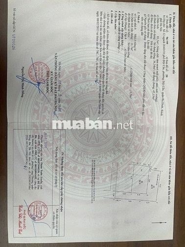 Bán nhà 7 tầng thang máy ngõ 204 Đội Cấn Ba Đình Hà Nội 