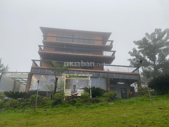  bán 100m2 view rừng thông ngay trung tâm thành phố bảo lộc giá tốt sổ