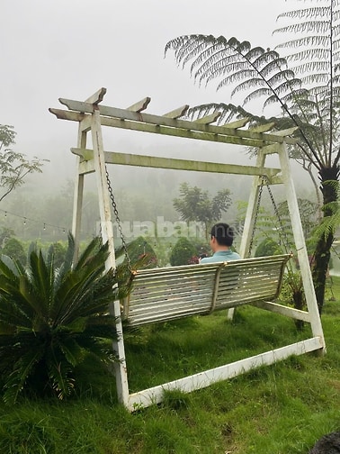  bán 100m2 view rừng thông ngay trung tâm thành phố bảo lộc giá tốt sổ