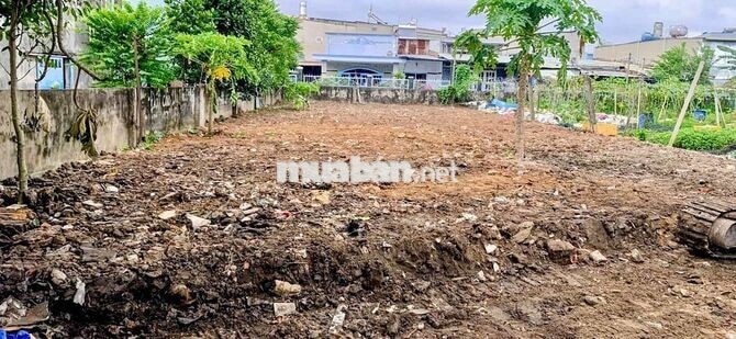 Đất thổ cư 3 mặt tiền Phạm Thị Tôm-Đông Thạnh-Hóc Môn.12x27~322m~8,4ty