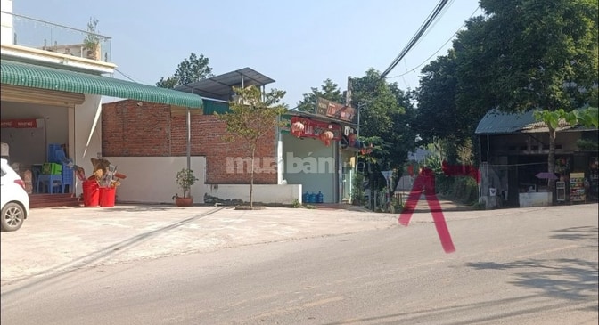 Cho thuê 3000m2 mặt tiền 60m đường nhựa 10m xã Yên Trung Thạch Thất