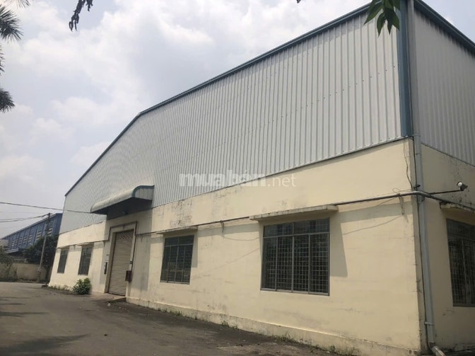 Cho thuê xưởng 4.800m2 đường Trần Đại Nghĩa, giá 388 triệu/tháng