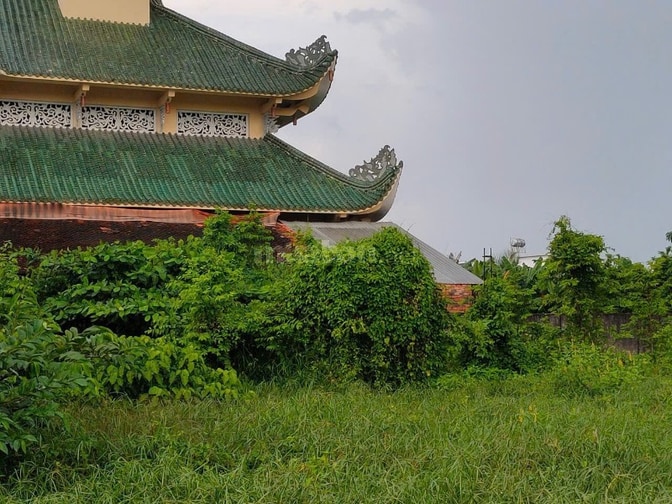 1604 m2 có sẵn 200 m2 thổ cư kế bên chùa Tùy Hỷ Hóc Môn 