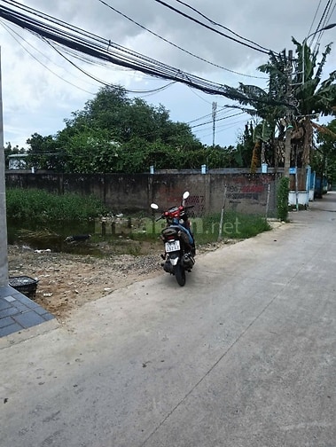 1604 m2 có sẵn 200 m2 thổ cư kế bên chùa Tùy Hỷ Hóc Môn 
