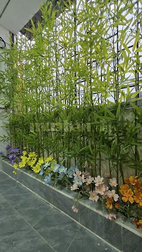 Chính chủ cho thuê nhà nguyên căn phố Đào Tấn, 3 tầng, tổng 100m2, 3PN