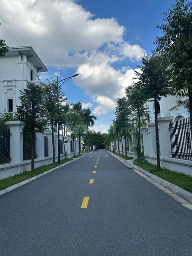 Siêu Hiếm! Chính Chủ Bán BT Đơn Lập Vườn Cam, Góc 290m2 View Công Viên