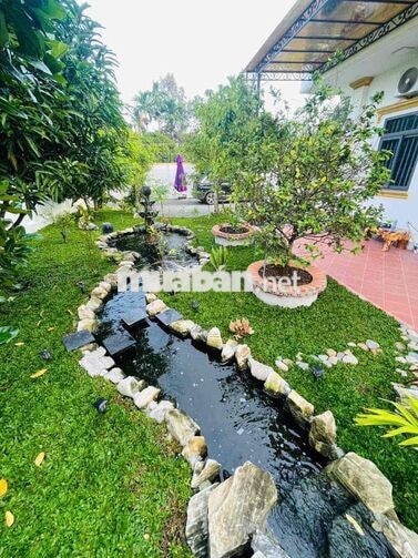 Cho Thuê Biệt Thự Villa Sân Vườn 5Phòng Ngủ Phường Tân An View Sông SG