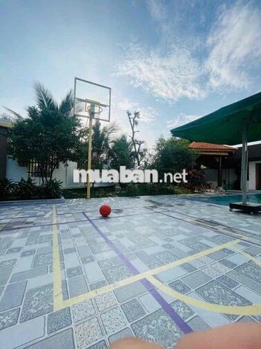 Cho Thuê Biệt Thự Villa Sân Vườn 5Phòng Ngủ Phường Tân An View Sông SG