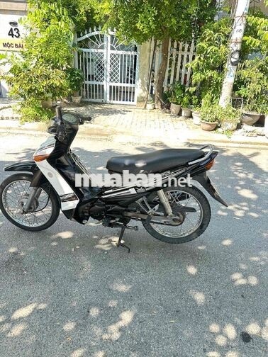 Yamaha Taurus BS43 2013 Đen trắng