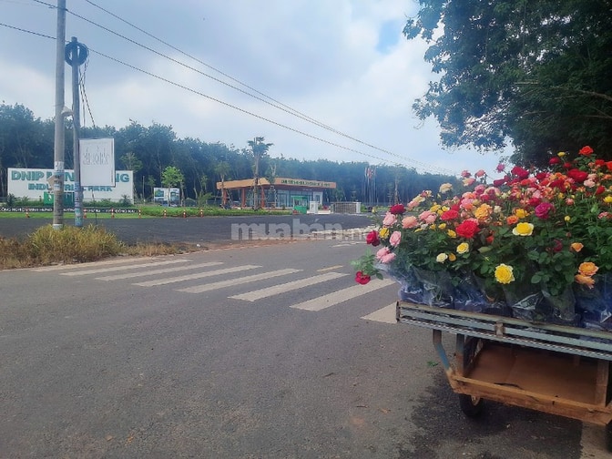 Chính chủ bán 190m2,TT Chơn Thành, Sát Ql13, Kề KCN Minh Hưng 3.