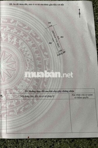Bán đất giá rẻ đường Trưng Nữ Vương xã Thái Bình ( đã có thổ cư)