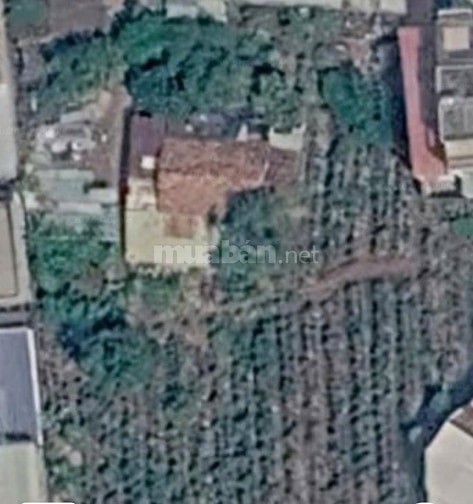  120 triệu/m2, 3500m2, Bán đất 3 MT Nguyễn Duy Trinh, P.Bình Trưng,Q.2