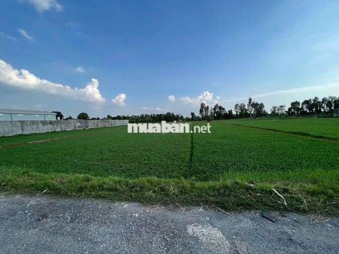Bán đất mt đường 171 ( Hà Duy Phiên ) Bình Mỹ Củ Chi , 2257m2