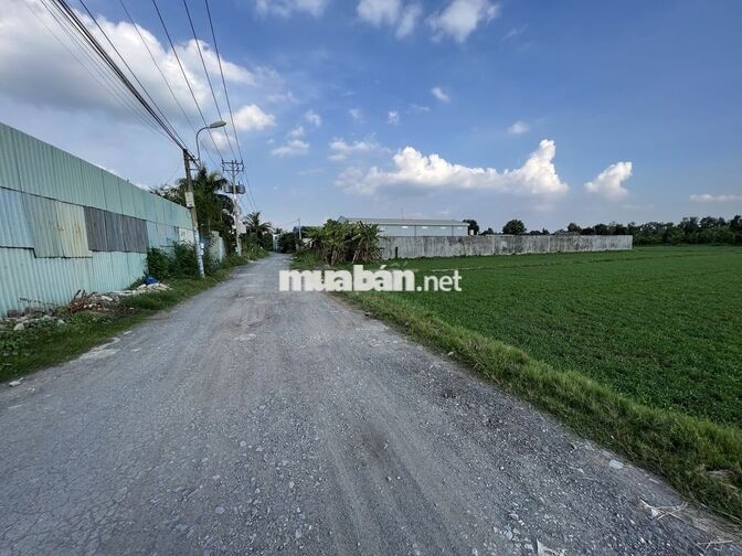 Bán đất mt đường 171 ( Hà Duy Phiên ) Bình Mỹ Củ Chi , 2257m2