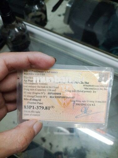 Yamaha Exciter 135 Xanh trắng