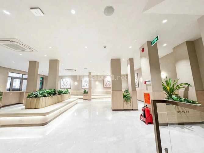 Cho thuê nhà MT 119G-119H phổ quang, p.09 phú nhuận 12x16m trệt 3 lầu 