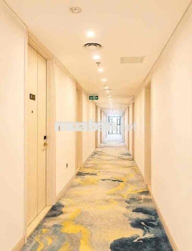 🏡 CHO THUÊ CĂN HỘ HOÀ BÌNH GREEN – ĐÀ NẴNG GOLDEN BAY ✨