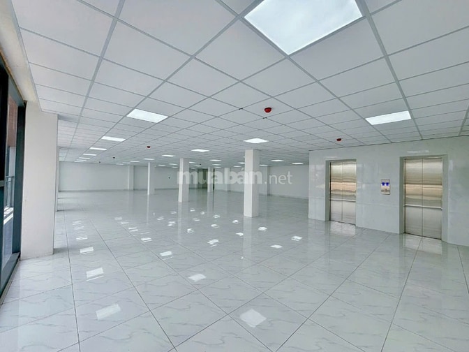 Chính chủ cho thuê tòa nhà góc Hai Mặt Tiền Phạm Ngọc Thạch q3 10mx20m