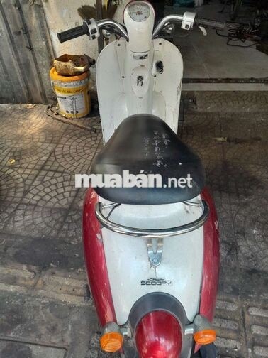 Honda Scoopy 2024 Đỏ, trắng