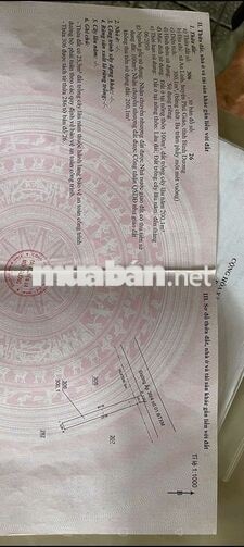 300m2 đường bê tông 5m ngay chợ An Linh