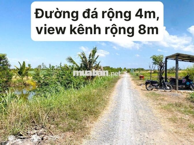 Bán đất xã Kênh 1 xã Tân Điền, Đồng Tháp (Tiền Giang cũ)