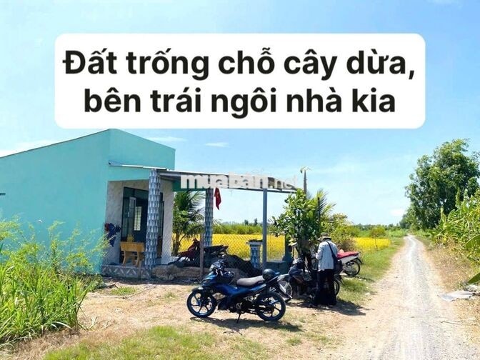 Bán đất xã Kênh 1 xã Tân Điền, Đồng Tháp (Tiền Giang cũ)