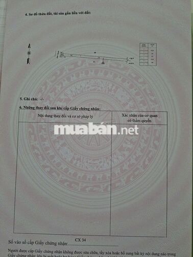 Bán đất xã Kênh 1 xã Tân Điền, Đồng Tháp (Tiền Giang cũ)