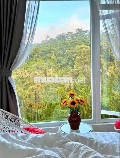 CHO THUÊ NHÀ NGUYÊN CĂN 4 PN VIEW RỪNG THÔNG FULL NỘI THẤT PHƯỜNG 7