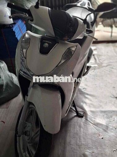 Honda SH 125 Trắng 37.452 km