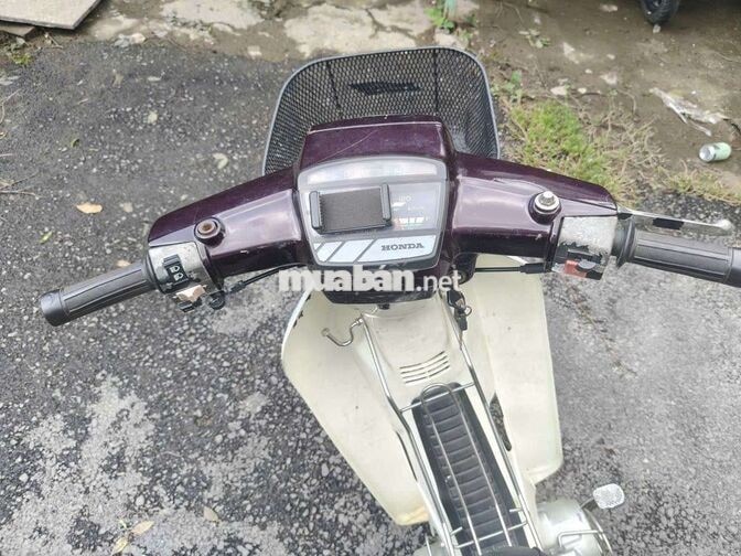 Honda Dream Thái Nâu, Trắng