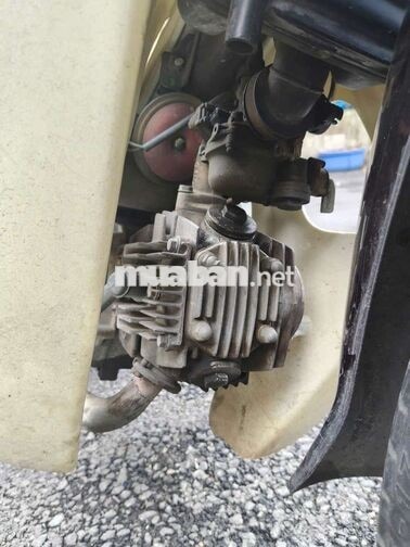 Honda Dream Thái Nâu, Trắng