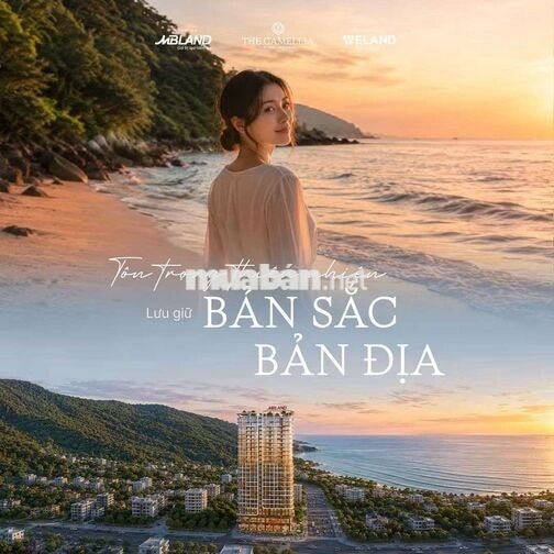 Nơi Bình Yên Chạm Đến Giấc Mơ Biển Cả