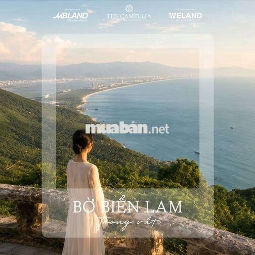 Nơi Bình Yên Chạm Đến Giấc Mơ Biển Cả