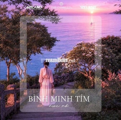 Nơi Bình Yên Chạm Đến Giấc Mơ Biển Cả