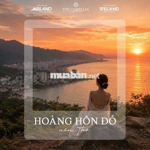 Nơi Bình Yên Chạm Đến Giấc Mơ Biển Cả