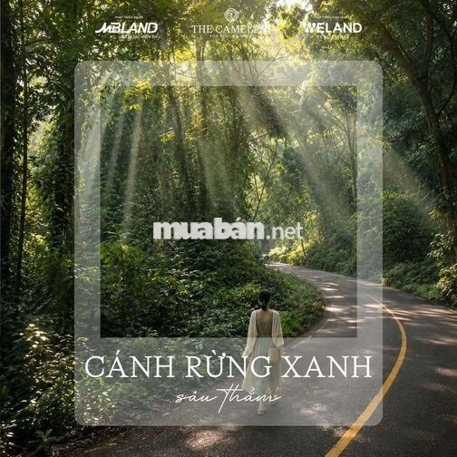 Nơi Bình Yên Chạm Đến Giấc Mơ Biển Cả