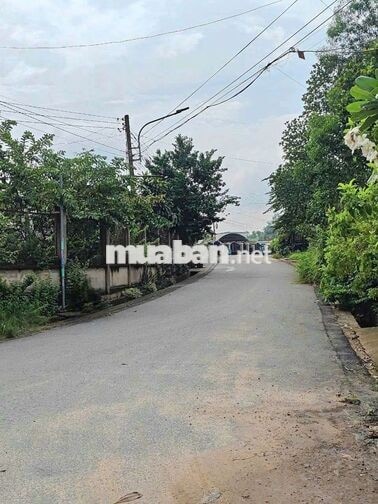 tôi chính chủ muốn bán nhanh đất mặt tiền 