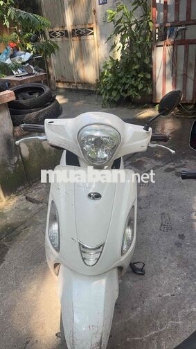 Xe tay ga Kymco 50cc Trắng