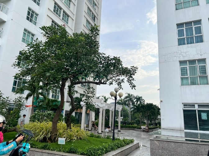 Cho thuê shophouse Hoàng Anh Thanh Bình giá 28T/tháng
