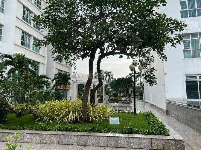 Cho thuê shophouse Hoàng Anh Thanh Bình giá 28T/tháng