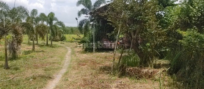 BÁN NHÀ HẼM 4M (XT) BÙI THỊ NGỌN, X. AN NHƠN TÂY, H. CỦ CHI, 22 TỶ