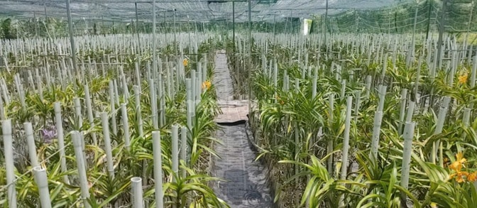 BÁN NHÀ HẼM 4M (XT) BÙI THỊ NGỌN, X. AN NHƠN TÂY, H. CỦ CHI, 22 TỶ