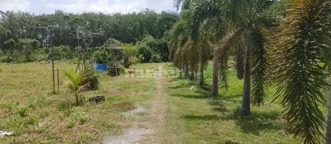 BÁN NHÀ HẼM 4M (XT) BÙI THỊ NGỌN, X. AN NHƠN TÂY, H. CỦ CHI, 22 TỶ