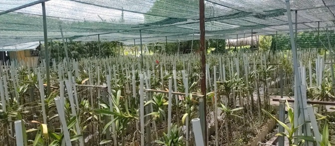BÁN NHÀ HẼM 4M (XT) BÙI THỊ NGỌN, X. AN NHƠN TÂY, H. CỦ CHI, 22 TỶ