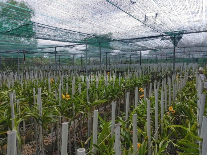 BÁN NHÀ HẼM 4M (XT) BÙI THỊ NGỌN, X. AN NHƠN TÂY, H. CỦ CHI, 22 TỶ