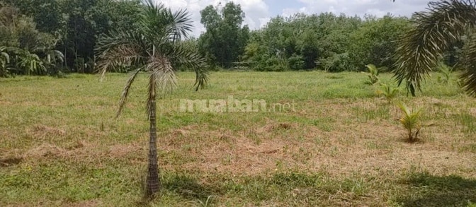 BÁN NHÀ HẼM 4M (XT) BÙI THỊ NGỌN, X. AN NHƠN TÂY, H. CỦ CHI, 22 TỶ