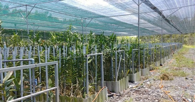 BÁN NHÀ HẼM 4M (XT) BÙI THỊ NGỌN, X. AN NHƠN TÂY, H. CỦ CHI, 22 TỶ